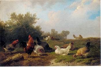 unknow artist Cocks 124 oil painting image